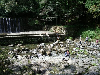 s_IMGP0276s.png